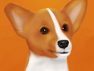 Doggie animal art digital art digital illustration digital painting digitalart dog illustration procreate
