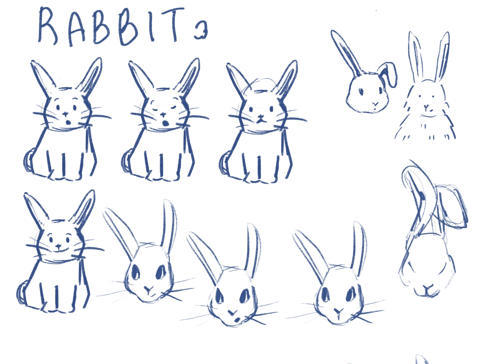 rabbit characters design