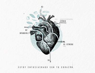 corazón design illustration vector