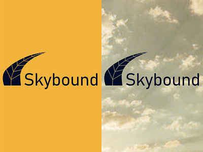 Aircraft logo  SKYBOUNND