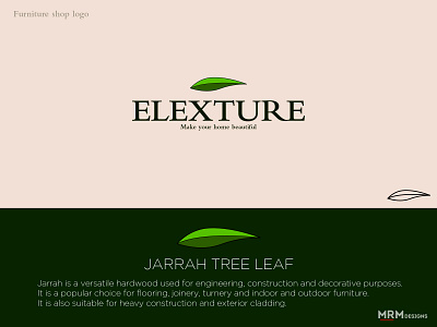 ELEXTURE (Furniture Shop Logo)