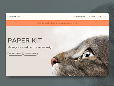 Paper Kit bootstrap bootstrap kit coming soon freebie paper kit ui kit web kit web ui