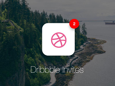 Dribbble Invites dribbble dribbble invite first invite player shot