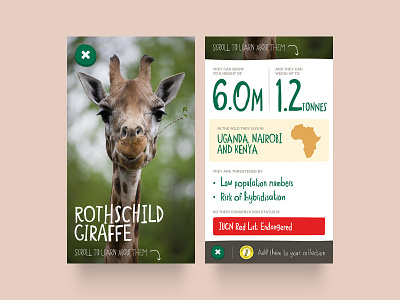 Chester Zoo App – Animals animal app chester zoo collect data facts figures giraffe illustration iphone zoo