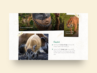 Islands at Chester Zoo – Logbook animal chester islands jungle logbook microsite tiger zoo