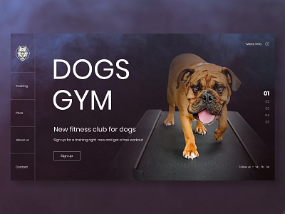 Dogs gym design dog fitness gym minimal typography ui ux web web design webdesign website website design