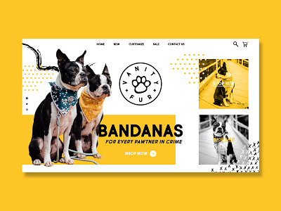 Vanity Fur apparel bandana concept design dog landing page ui web design