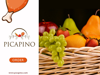 Picapino Company Banner