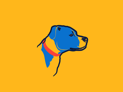 Thunder Rosie illustration illustrator okc pitbull thunder