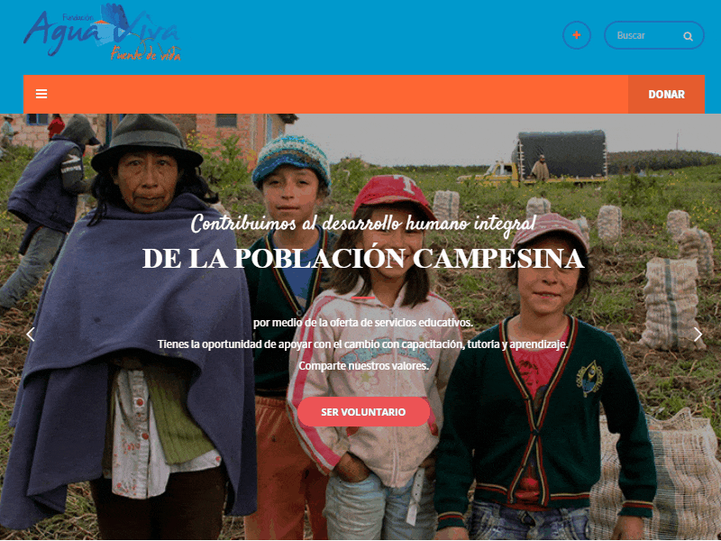 Fundación Agua Viva • Website web webdesign website design