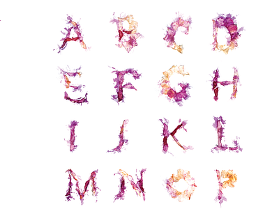 Refined Alphabet alphabet azaleas flowers found objects type typography