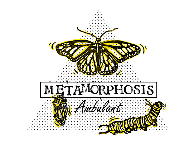 Metamorphosis Ambulant ambulante butterfly illustration metarmofose