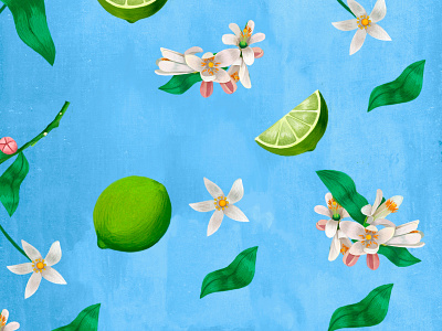 Lime Juice backround lime branding graphic design illustration