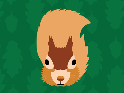 Squirrel illustration