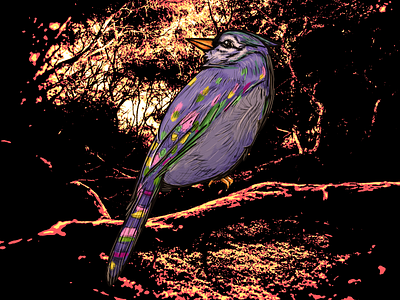 Mysterious Bird animal artistic bird brush colorful dark design filter graphic design illustration jungle mysterious nature photoshop wacom intuos