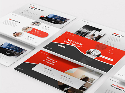 CMS Presentation Powerpoint Template