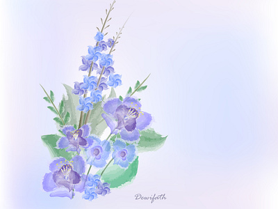 Purple & blue flowers
