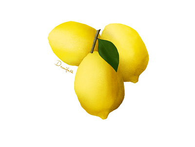 Lemon fruit illustration illustration procreate procreate art