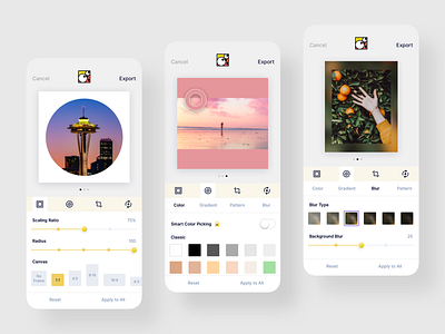 Scaling, Color and Background Blur. app design blur camera app camera icon color pattern instagram photo app photo editor squaredude