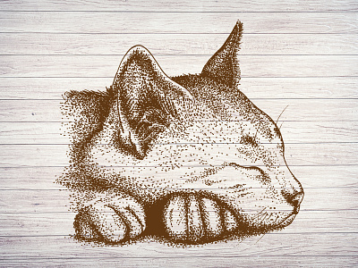 Hand Drawn Animal of Cat