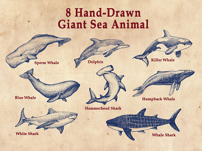Shark Whale Dolphin Hand-drawn Pointillism
