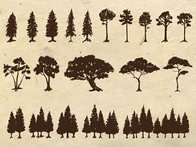 Hand Drawn Trees Elements artwork drawing elements hand drawn illustraion illustration nature trees vintage logo
