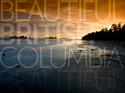 Beautiful BC beach british columbia nature sunset