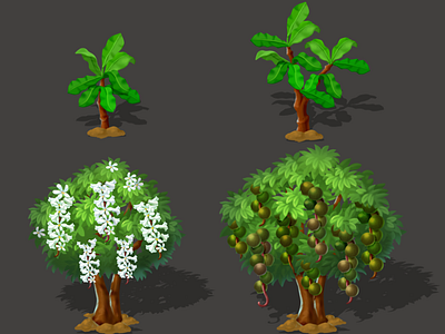 Macadamia growth process game app game art game ui macadamia mobilegame plants rendering
