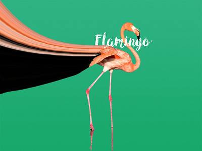 flamingo photoshop