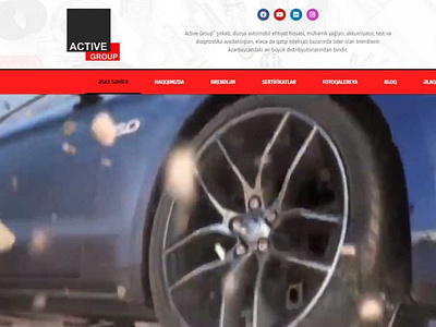 Website for a company that sells auto parts