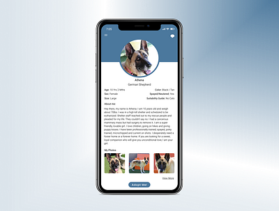 DailyUI006- Profile Page adoption best friends dailyui dailyui06 dailyuichallenge day6 design doggy human mockup profile ui ux visual design