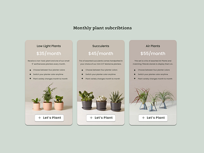Daily UI #30 - Pricing 100daychallenge air plant branding color palette dailyui dailyuichallenge day 30 design dribbble figma pastels plants pricing page purchase subscription succulent ui uidesign ux vector