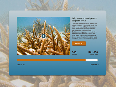 DailyUI #032 - Crowdfunding Campaign 100daychallenge color coral coral reef crowdfunding crowdfunding campaign dailyui dailyuichallenge design donate dribbble figma goals help reef save ocean typography ui uidesign ux