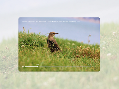 DailyUI #057 - Video Player 100daychallenge birds daily 100 challenge dailyui dailyuichallenge day 57 design documentary dribbble figma player ui uidesign ux video