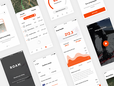 Roam Robotics mobile UI 📱