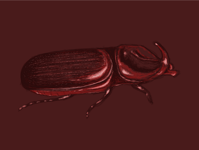 Rhino Beetle animal beetle coconut digital painting insect rhino beetle