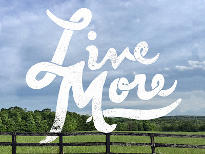 Live More compas handwritten live script typograhy