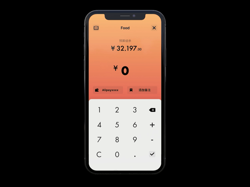 Payment account animation app payment