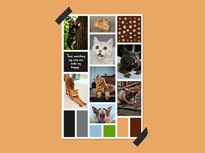Cat Mood Board | Moodboard Design | Collage | Image Making