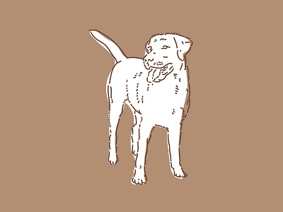 Ol' Bocephus dog illustration lab labrador mono pet pets portrait puppy