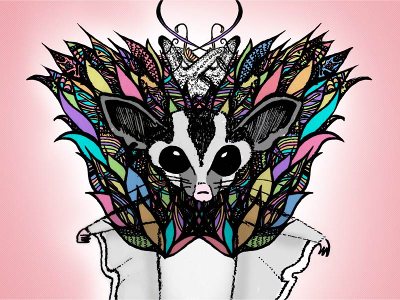 Feeling Colourful sugar glider animal character illustration
