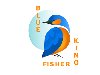 Blue Kingfisher birds design illustration typography vector