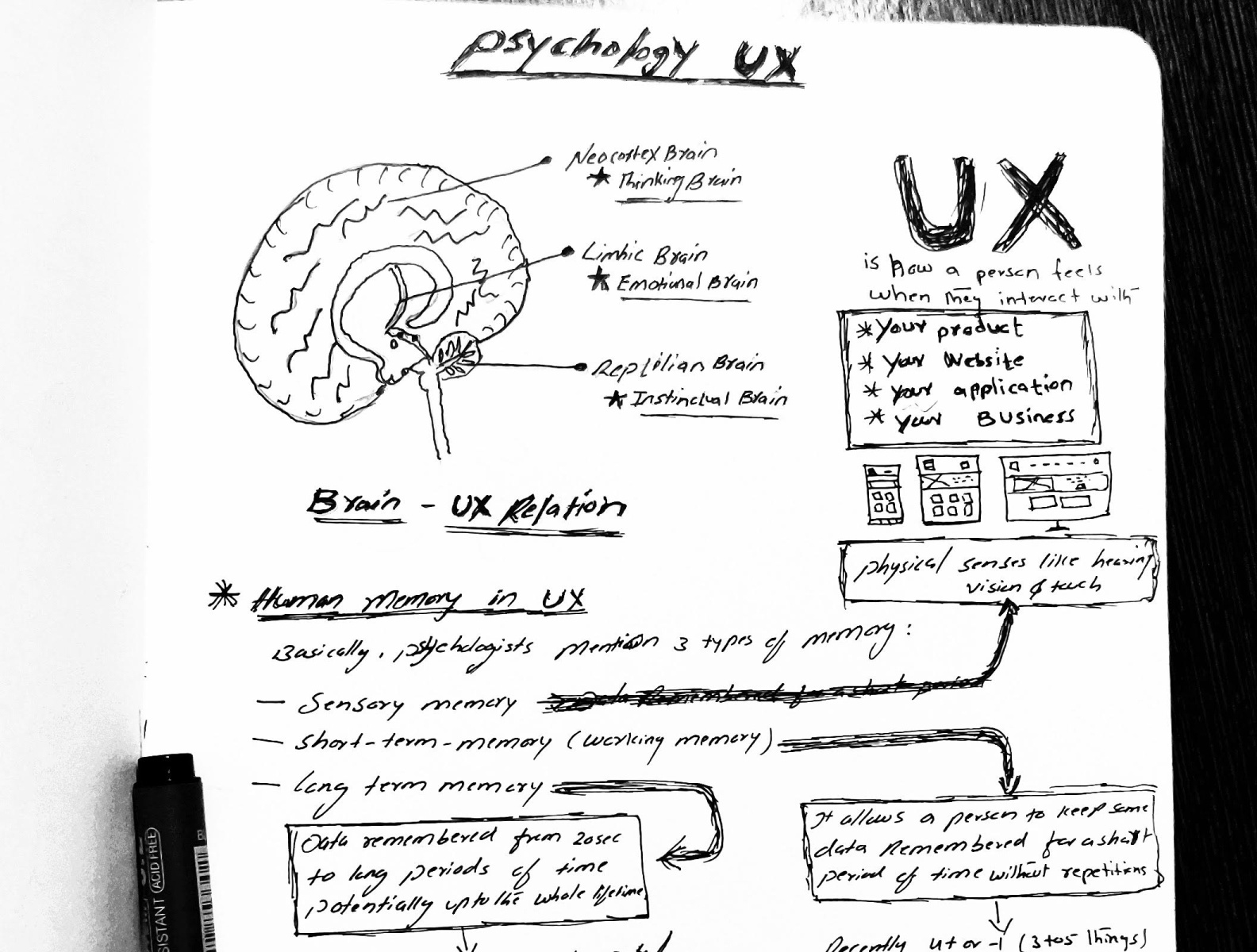 Psychology In Ux By Jakeer Hussain On Dribbble