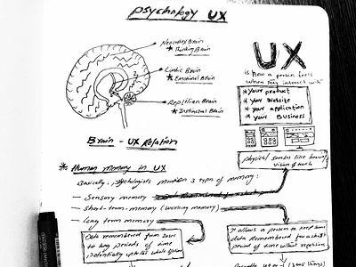 Psychology in UX