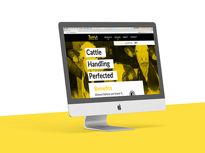 Livestock Home Page cow livestock moo ui web design website
