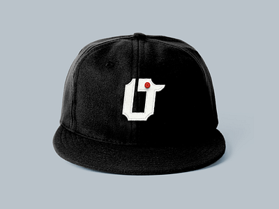 O is for Osaka Tigers baseball cap felt hat kfc logo osaka sports tiger