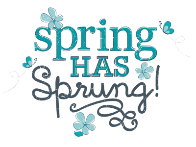 Spring has Sprung design illustration typography