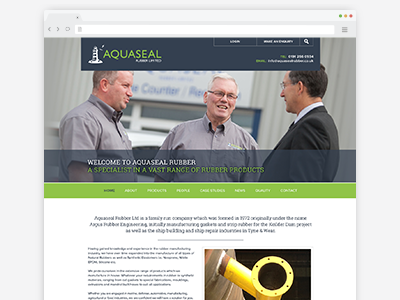 Aquaseal Website design interface responsive ui user ux website