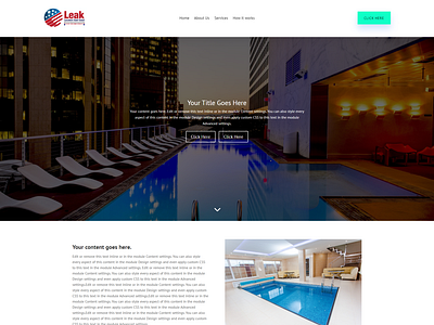 Leaklocators website design