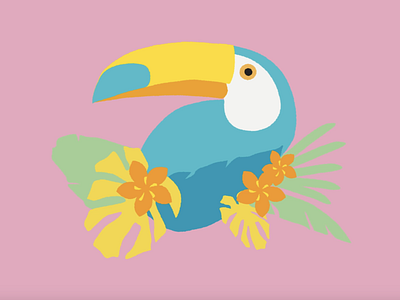 Motion Graphic | Tropical Birds aftereffects animal animation art design illustration illustrator vector video